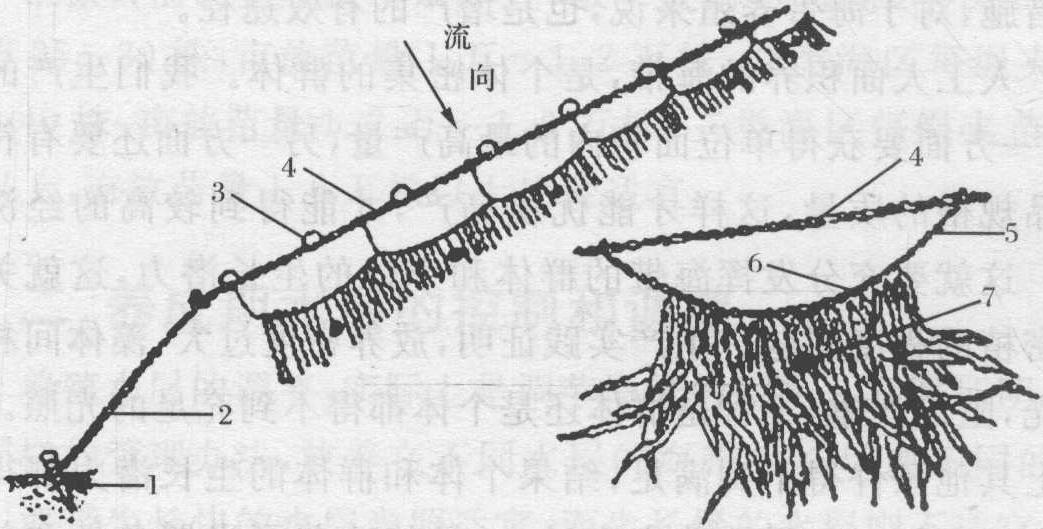 四、“一條龍”養(yǎng)成法